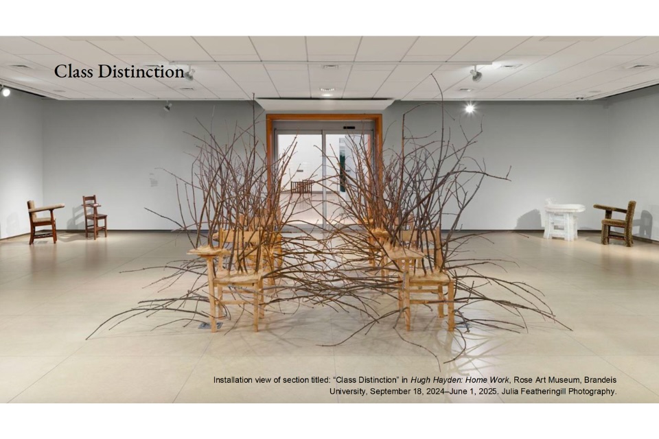 Installation view of Hugh Hayden's Class Distinction