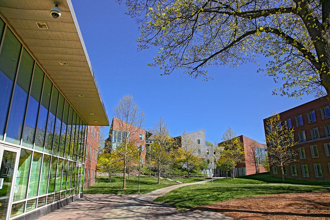 Brandeis campus pathway