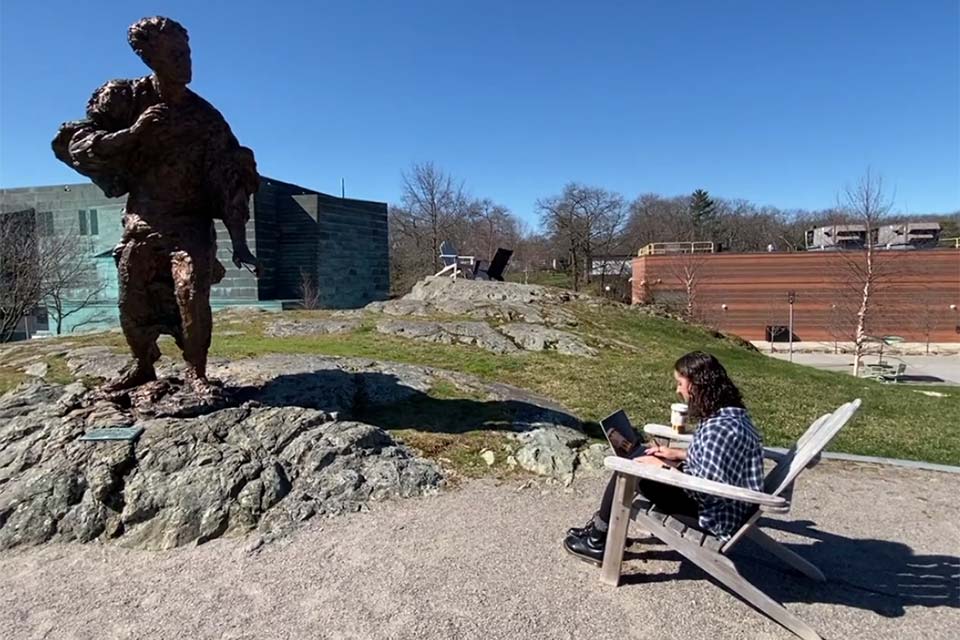Person seated outdoors using a computer facing the Louis Brandeis statue