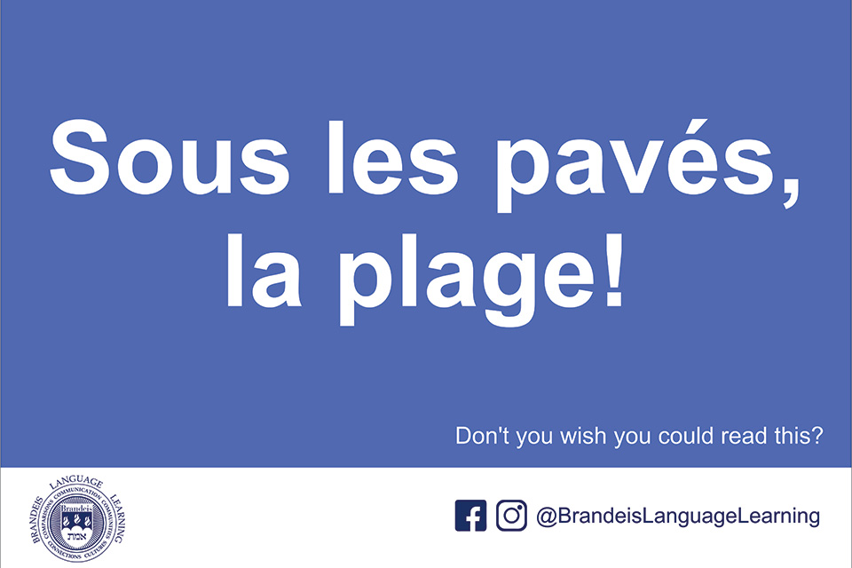 french phrase meaning "under the paving stones, the beach"!