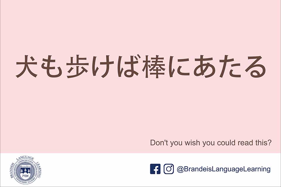japanese phrase meaning literally: “even when a dog walks, it will bump into a pole”
