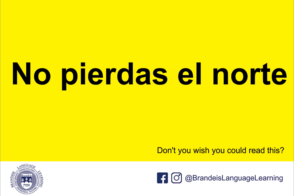 slide with spanish phrase meaning "don't lose the north."