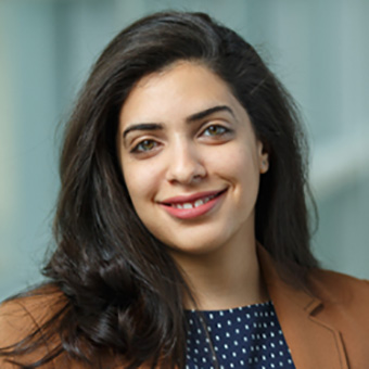 Alaa Murad
