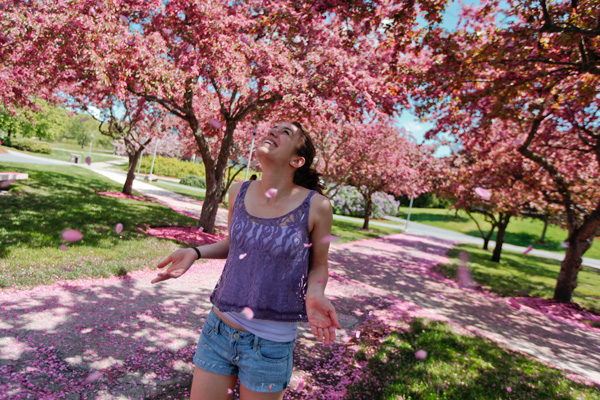 spring blossoms at brandeis