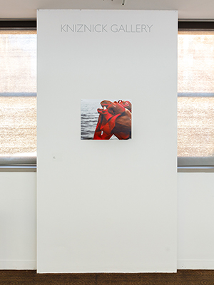 installation view Jaime Black exhibition, a narrow white wall with a photograph of hands holding a bundle of red ribbon