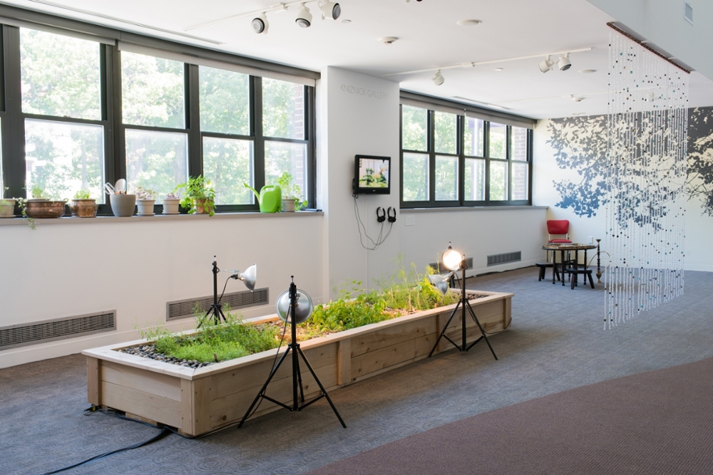 Wendy Wolfe Fine, installation view of The Pearl that Slipped Its Shell, Kniznick Gallery, 2016. Photo shows a large wooden planting container with small green plants growing and grow lights. On the window sill are more flower pots. On the far wall is a pattern of tree leaves painted directly on the wall.  Next to it is the 27 strand History bead curtain created with community participation. There is a computer screen with headphones affixed to the wall.