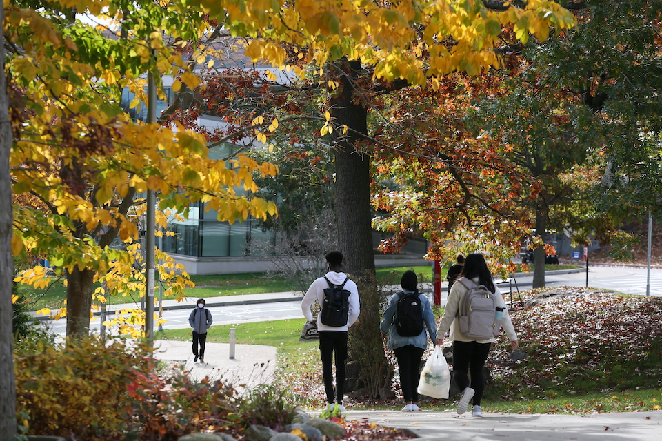 Brandeis students walking on campus in Fall