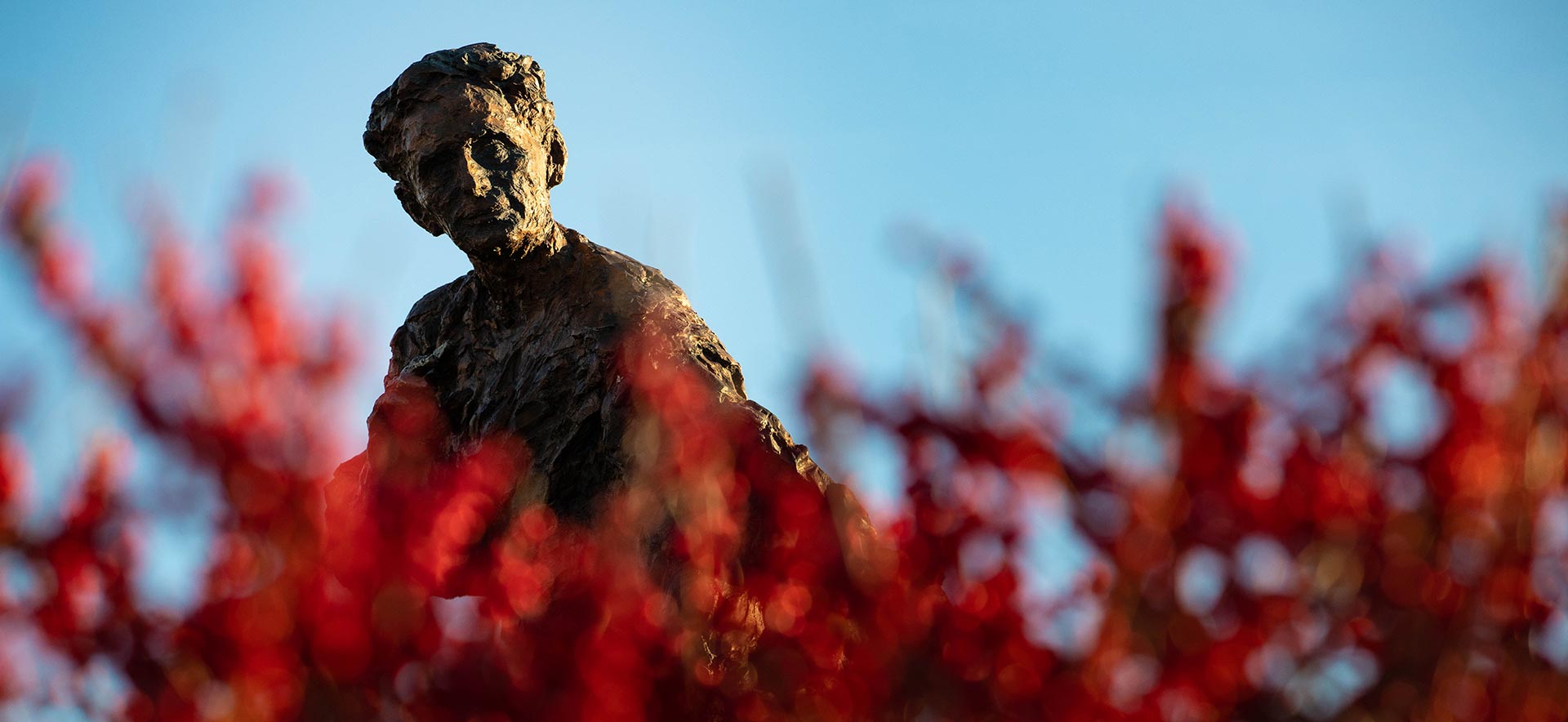 Louis Brandeis statue with red flowers in the foreground