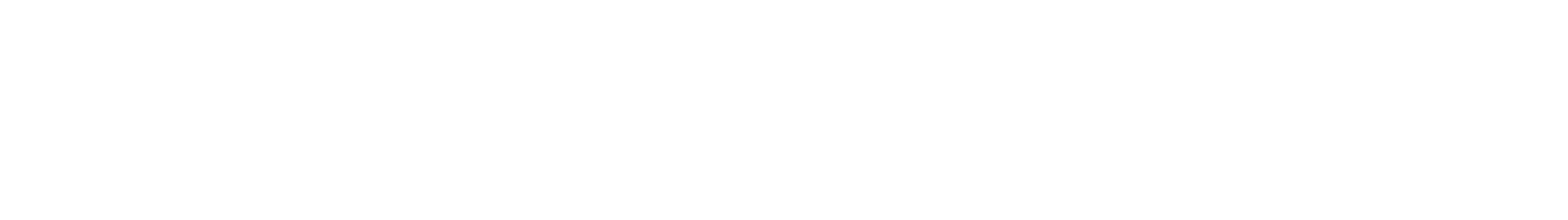 IBS wordmark