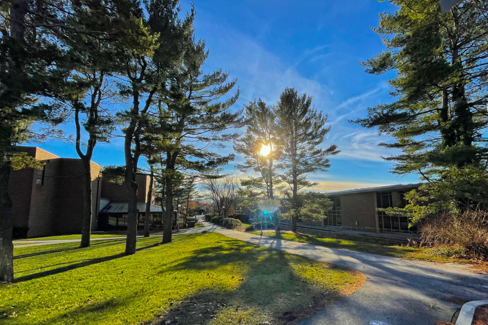 Brandeis campus in fall, showing Usdan, the library, and trees