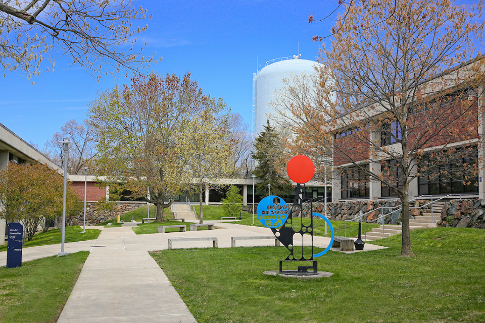 mandel humanities quad