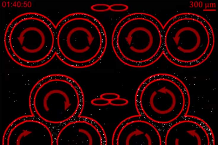 liquid full of microtubules inside ring-shaped containers