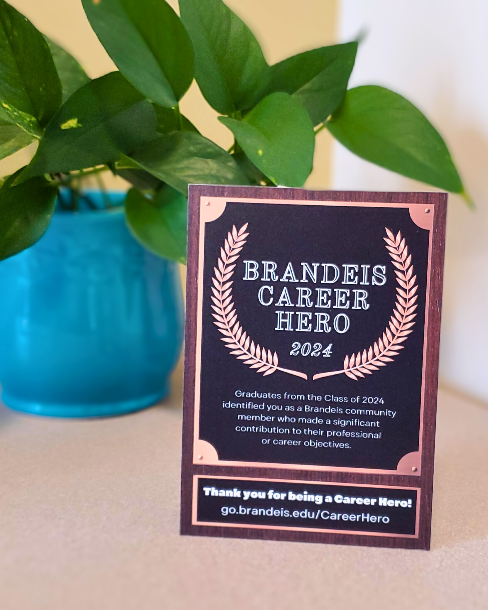 Career Heroes 2024 Plaque