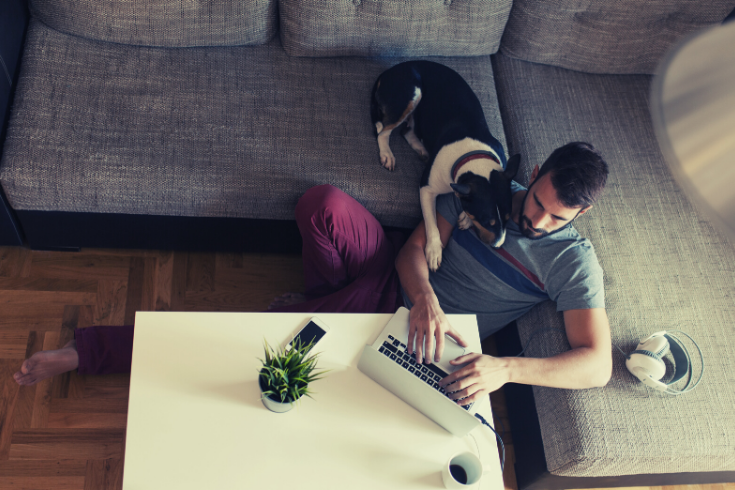 A person sits on the floor working from home while their dog sits on the couch behind them