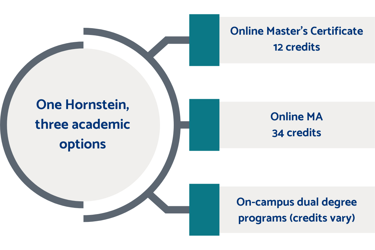 Three programs for building a Jewish leadership pipeline: online certificate, online MA, on-campus dual-degree programs
