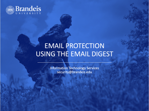 Email protection email digest instructional video