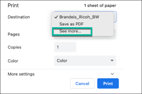 Print destination more options