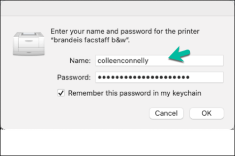 Enter and save password prompt