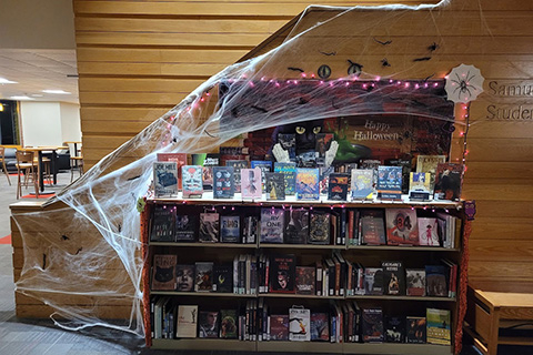 Bookcase with books and DVDs on stands. The bookcase and wall above are covered in spider webs, spiders, spooky eyes and a banner that says "Happy Halloween"