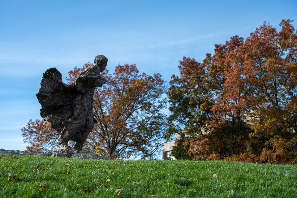 Brandeis statue with leaves on ground
